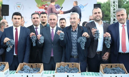 MADEF 4. Arapgir Üzüm Festivalini Yapacak