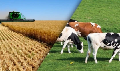 CHP’den tarım ve hayvancılık seferberliği