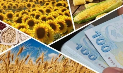 1,2 milyar TL’lik tarımsal destek hesaplarda