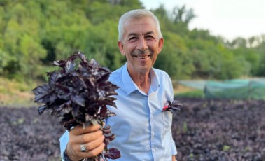 Arapgir Üzüm ve Mor Reyhan İle Anılacak!