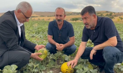 Ağbaba; Malatya’da Çöken Sadece Binalar Değil