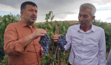 CHP'li Ağbaba, Tarım ve Orman Bakanına Yüklendi!