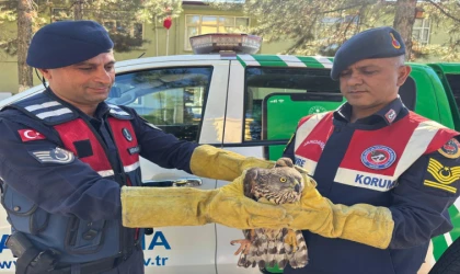 Malatya’da İlk Defa Görüntülendi!