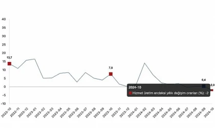 Tüik: Hizmet üretim endeksi yıllık %2,0 azaldı