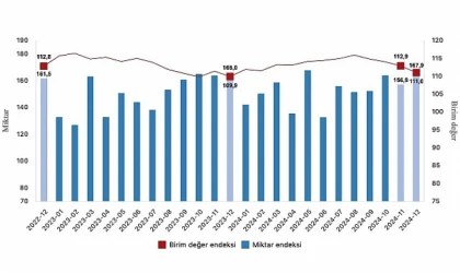 Tüik: İhracat birim değer endeksi %1,0 arttı
