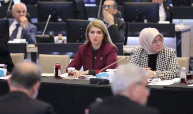 Milletvekili Ölmeztoprak Deprem Toplantısında Malatya'yı Temsil Etti