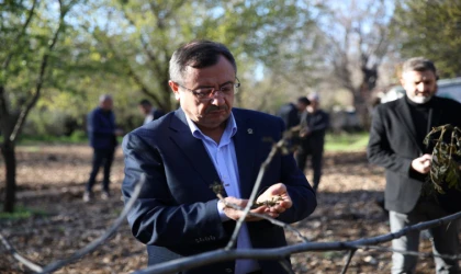 Başkan Bakan; Malatya’da Hasar Tespit Çalışmaları İvedilikle Sürüyor
