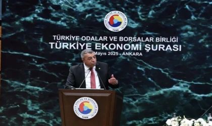 Başkan Özcan Ekonomi Şurasında Don Felaketini Anlattı