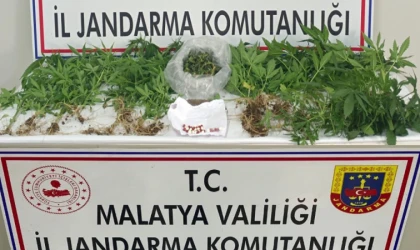 Malatya’da Narkotik Suçlarla Mücadele Kesintisiz Devam Ediyor