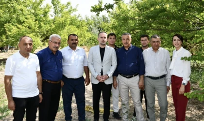 Başkan Karademir; Kayısı Üreticisine Acil Destek Şart!
