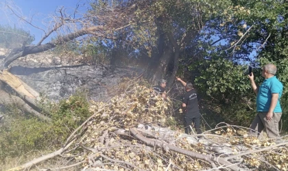 Kuluncak’ta Elektrik Hattından Oluşan Yangın Panik Oluşturdu