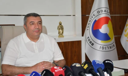 Malatya’ya Kayısı’dan 377 Milyon Dolar Kazandı