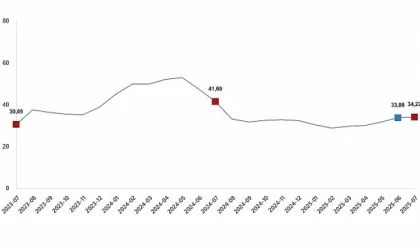Tarımsal Girdi Fiyat Endeksi, Temmuz 2025