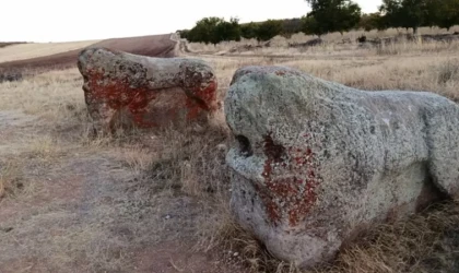 4 Bin Yıllık Aslantaş Heykelleri Malatya’ya Taşınacak mı?
