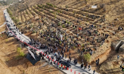 Malatya Deprem Şehitleri Ormanına Yenileme!