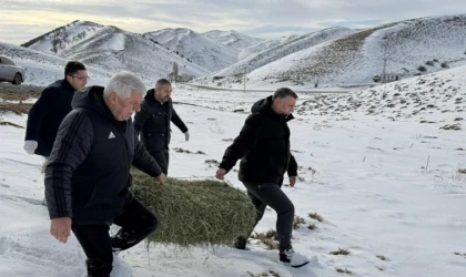 Yeşilyurt Belediyesi Yaban Hayvanlarını Unutmadı!