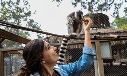 Antalya Doğal Yaşam Parkı’nda yavru lemur sevinci