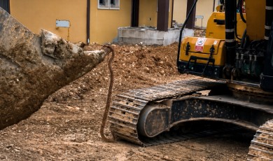 Malatya Darende İlçesinde Yılanlarla Dans Devam Ediyor!