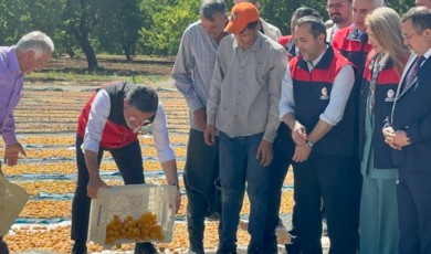 Bakan Yumaklı; Malatya Kayısısı Dünya Lideri Konumunda!