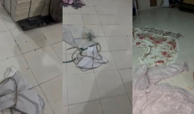 Battalgazi'de O Fırında Böcekleri Çekip Paylaştı!