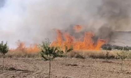 Darende’de Buğday Tarlasında Yangın Çıktı