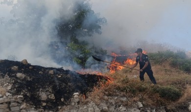 Darende’de Ot Yangını! Kayısı Bahçesi Zarar Gördü