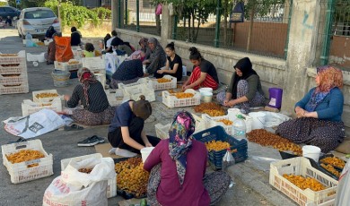 Dikkat! Kayısı Patiği Yaparken Ceza Almayın!