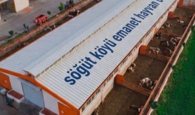 Malatya'da Gurbetçilere Özel “Emanet Hayvan Oteli” Projesi
