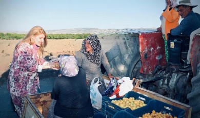 Milletvekili Ölmeztoprak, Projeleri ve Hasadı Yerinde İnceledi