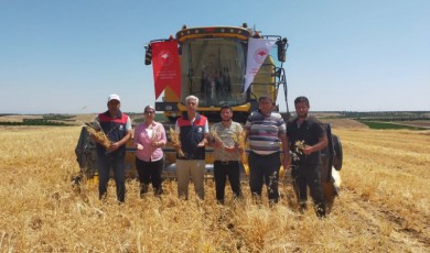 Yeşilyurt'ta TAKE Projesi Kapsamında Nohut Hasadı Yapıldı