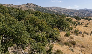 Kuluncak’ta Orman Sınırları Değişti