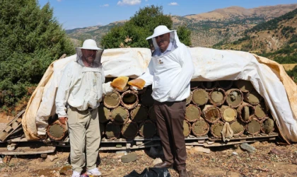 Pütürge’nin Zengin Florasında Bal Hasadı Başladı