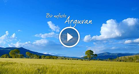 BİR NEFESTE ARGUVAN